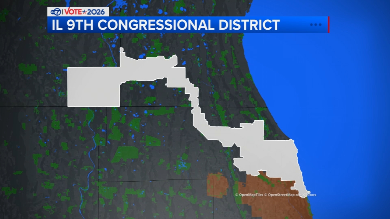 Daniel Biss, John Elleson compete for open Illinois 9th Congressional District seat
— ABC7 Chicago (WLS-TV)