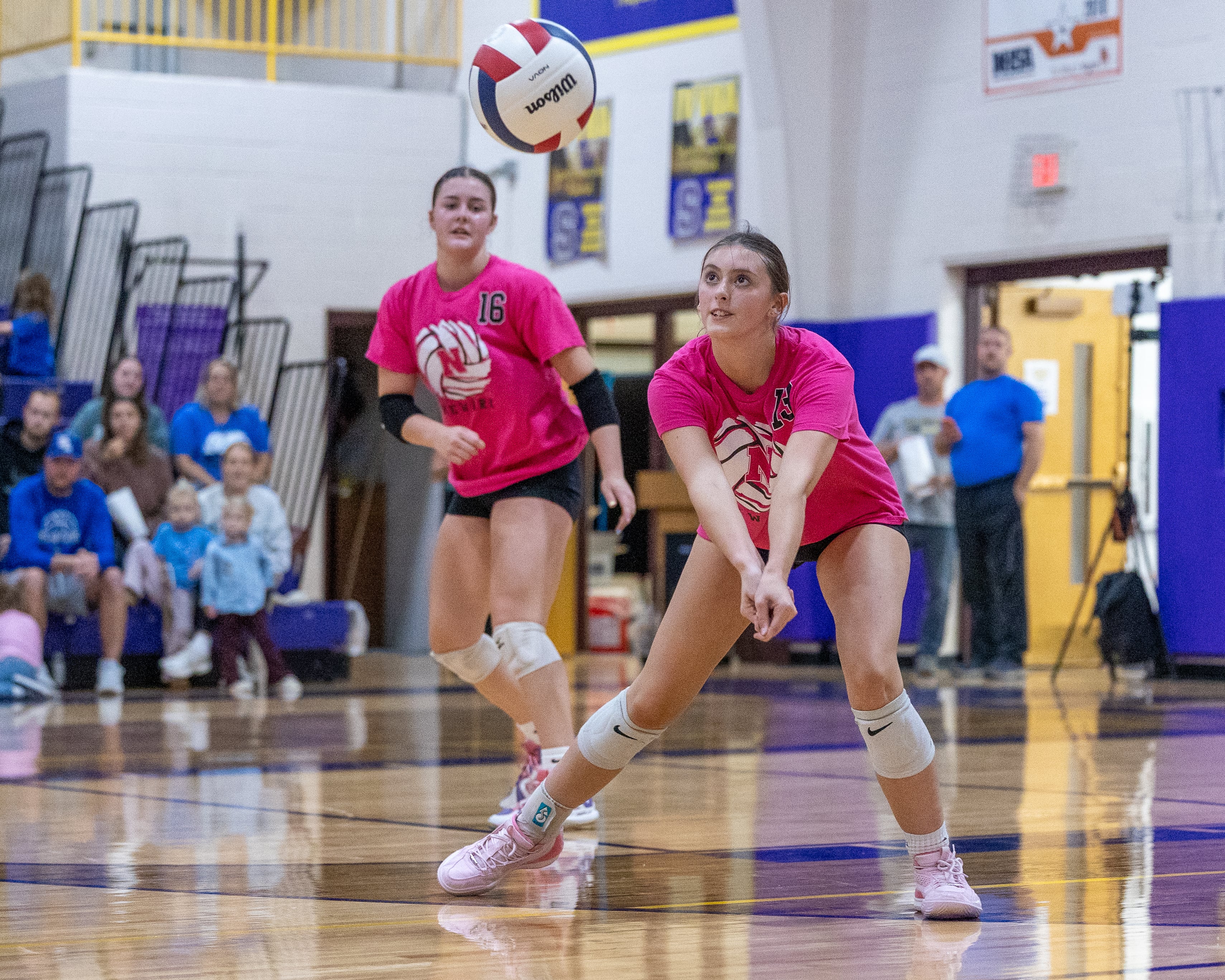 Newark brings home ninth consecutive regional championship: The Times Thursday Roundup — Shaw Local News Network