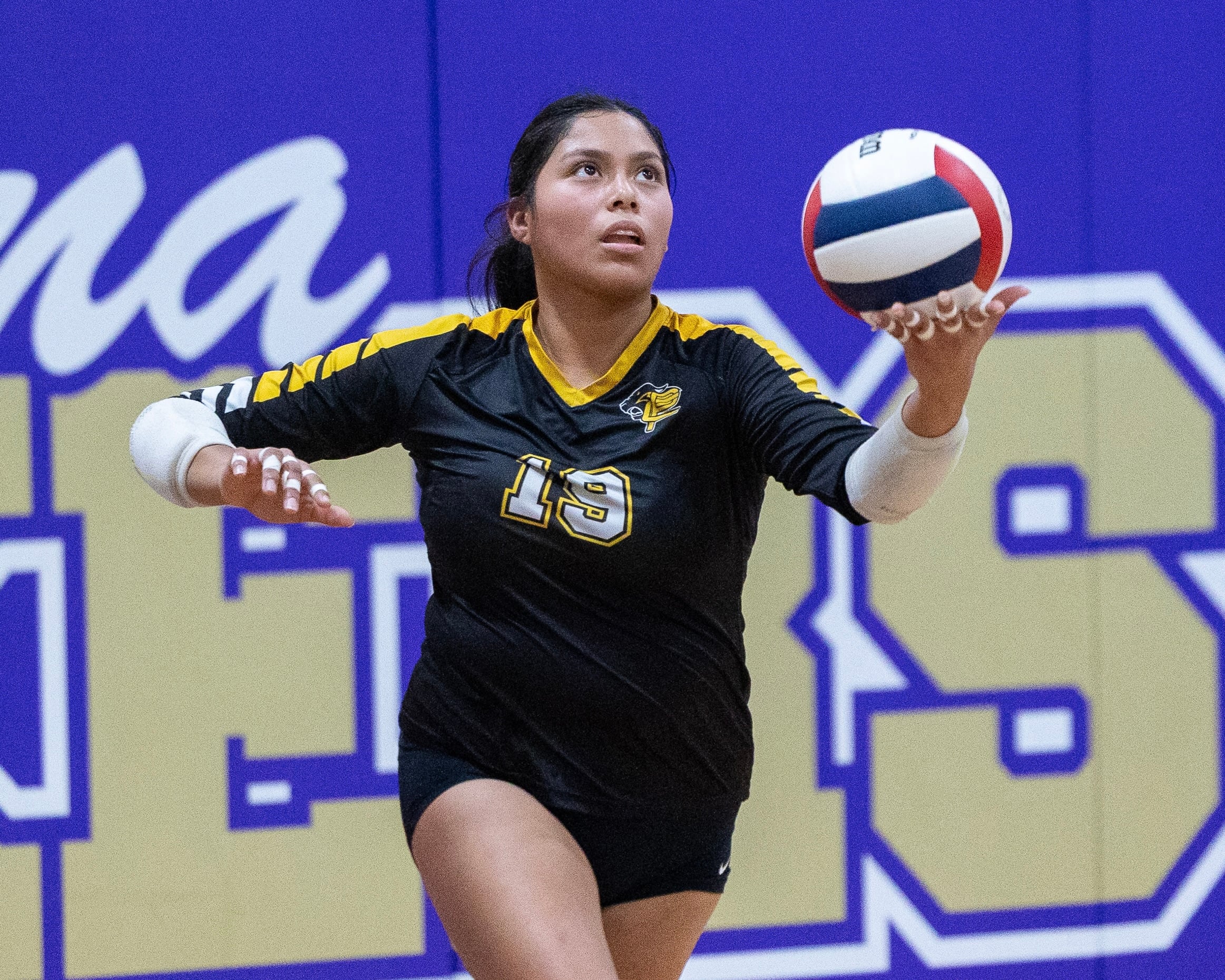 Putnam County volleyball falls in regional final: Thursday’s NewsTribune/BCR roundup — Wheaton Community news